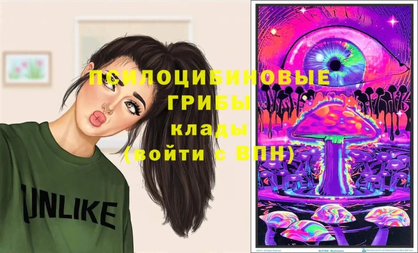 твердый Алексин