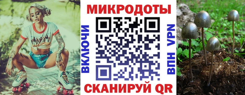 Псилоцибиновые грибы Cubensis  Бирюч 